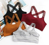 Cross Back Sports Bra-One -Size